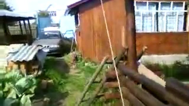 Сбор картофеля на даче!!! смотреть онлайн