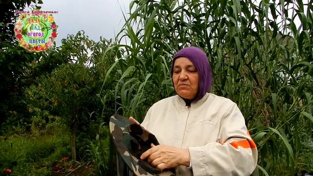 Комары достали. Как защититься от комаров в саду и на огороде? Средства защиты от комаров на природ смотреть онлайн