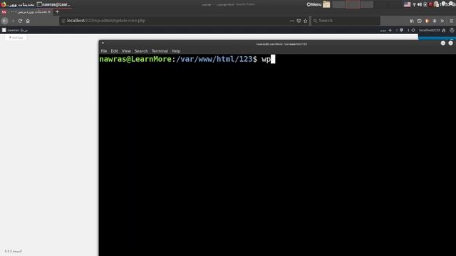 WP CLI :8- Update Plugins смотреть онлайн