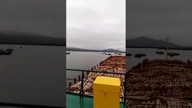 Корейские рыбаки прячаться в приморье смотреть онлайн