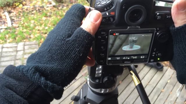 Nikon D810 Vs D750 - Test