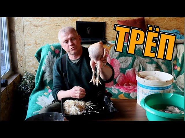 Дела житейские в деревне Трёп с перепёлками смотреть онлайн