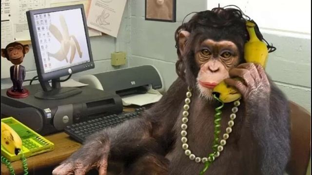 Коллектор страшно МлЯ оЙ как СТРАШНО !!! смотреть онлайн