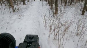 Буксировщик Белка. Часть 10, поездка по лесу, пруду, на родник.