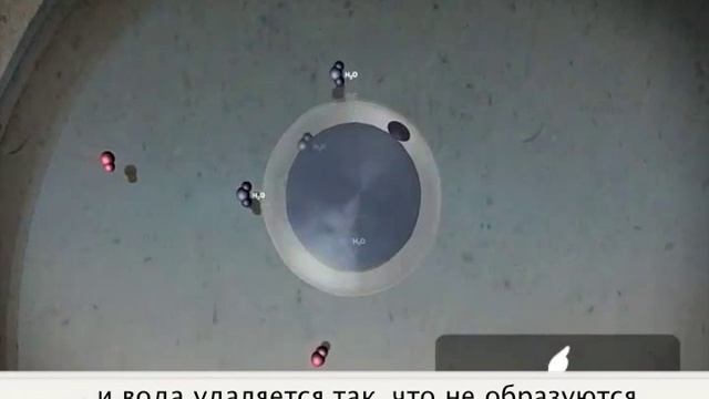 Витрификация.