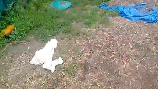 Замена отбойного битера на комбайне нива ск5 смотреть онлайн