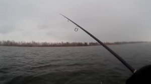 Оснастка джиг риг или джиг. Ловля судака на водохранилище.