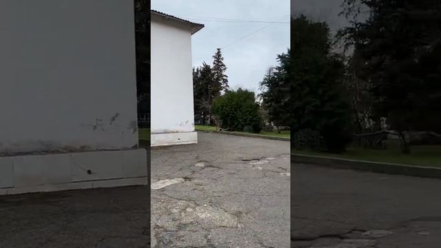 Голубая дача видео 1