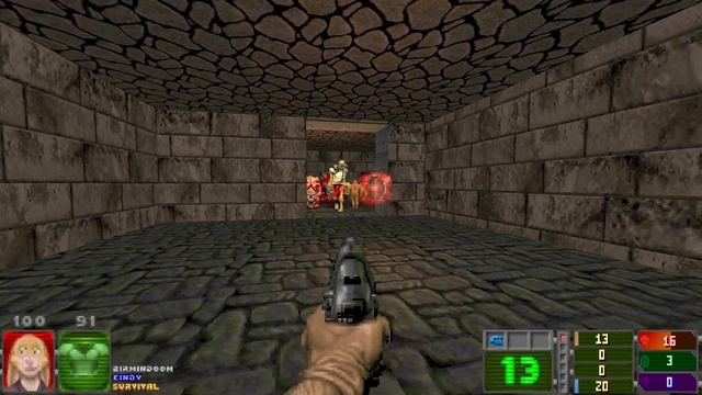 David Does Birmindoom - Survival смотреть онлайн
