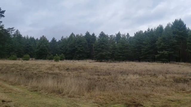 Свободный поиск смотреть онлайн