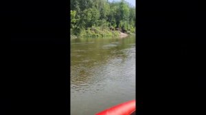 лодка Kitt Boats 410 фб с мотором parsun 9.9 bms