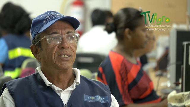 Singularidades del Árbol Del Pan - San Andrés, Colombia - TvAgro por Juan Gonzalo Angel смотреть онлайн