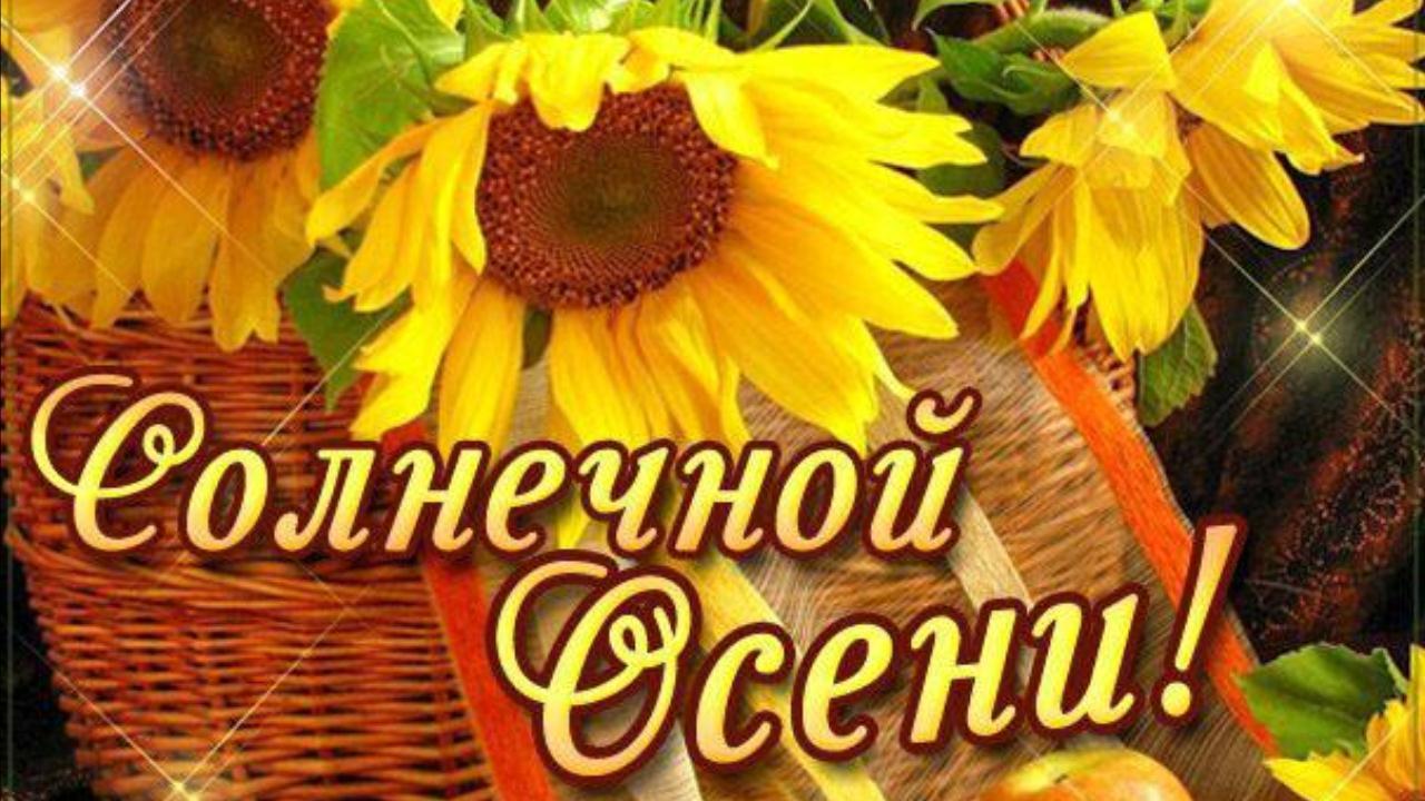 Осенний приветик! Доброй Вам осени! Шикарная музыкальная видео открытка Золотая осень для позитива