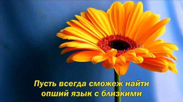 С Днем Рождения 16 06 смотреть онлайн
