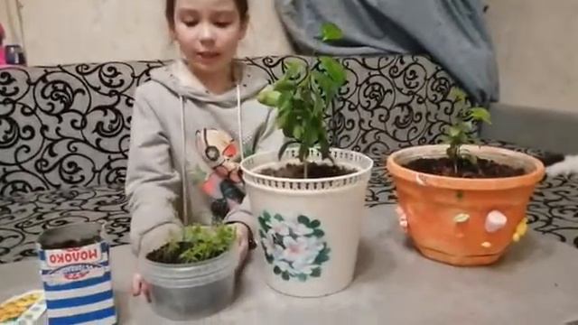 Варя Пронина "Мои яркие эко привычки" смотреть онлайн