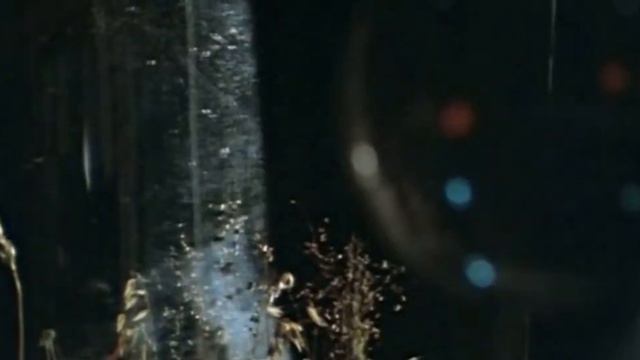 Обыкновенное чудо