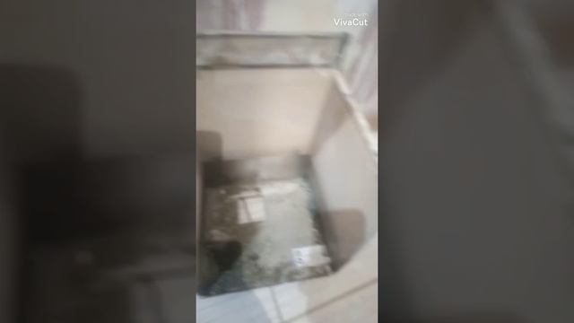 Navien Ace газовый котел, запах Гарри, что бывает когда 10лет не обслуживаеш. смотреть онлайн