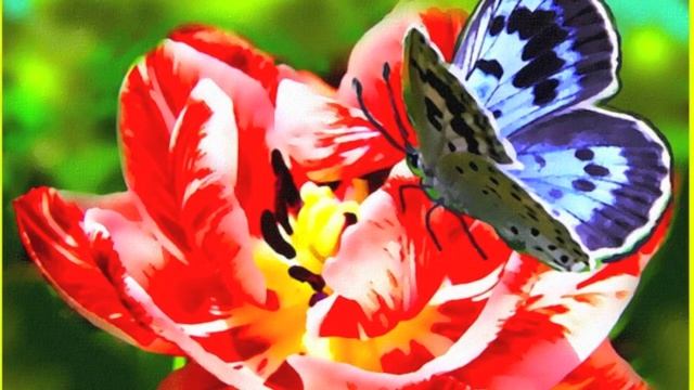 Мой опыт - как наложить музыку на видео смотреть онлайн