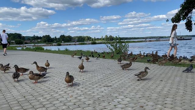 🌎💦Валдай🌞