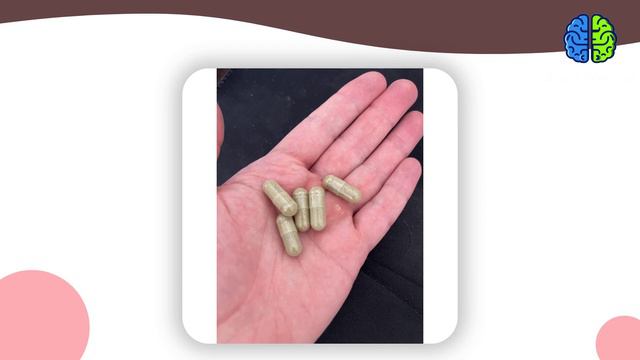 Quick Brain Nootropic Review смотреть онлайн