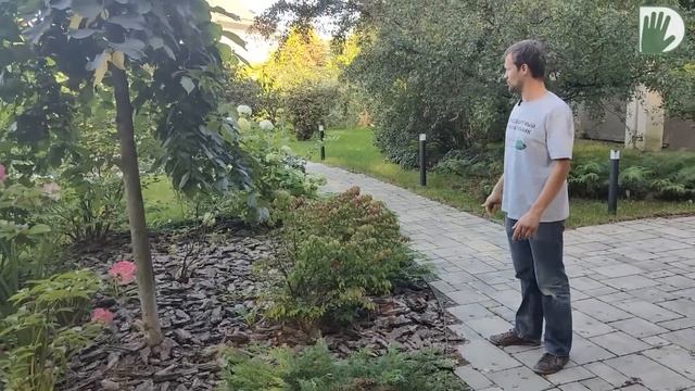 Видео журнал 