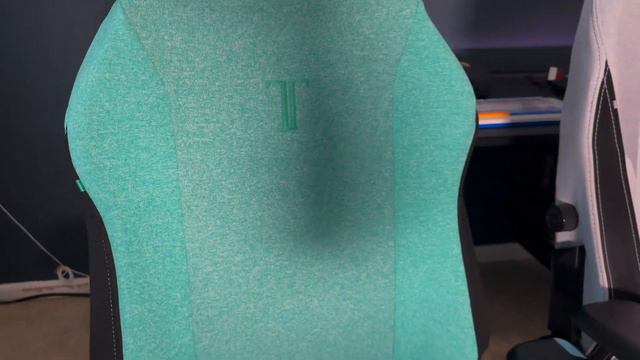 Secretlab SKINS - Cover Themes for your TITAN EVO 2022 Review. смотреть онлайн