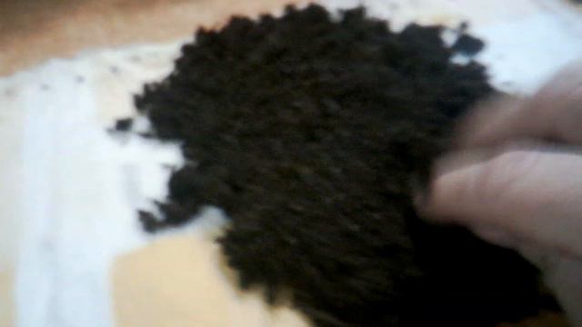 Высеваю замоченные семена перца, баклажан. Что делаю с замоченными семенами лука. смотреть онлайн