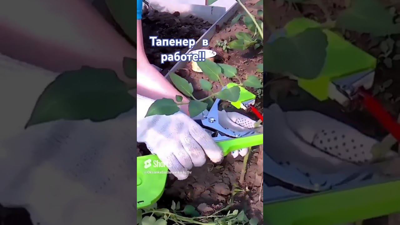 проверяю как работает тапенер смотреть онлайн