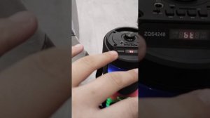 обзор на колонку zqs4248/до 15 метров