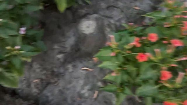 Моя зорька..❤ смотреть онлайн