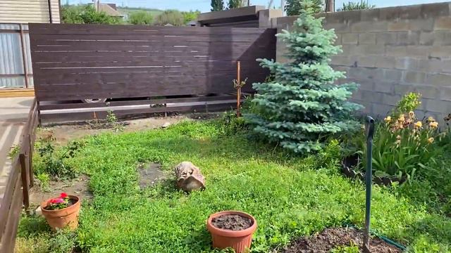 МИТЯ с МАСЕЙ как Шерочка с Машерочкой и что ПАПЕ придумать под МОЙКУ смотреть онлайн