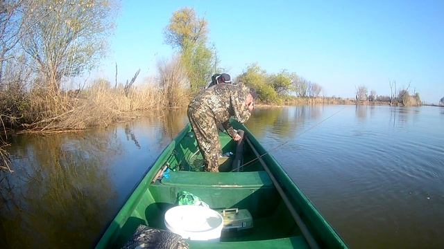 Ловля жереха (спортивная) смотреть онлайн