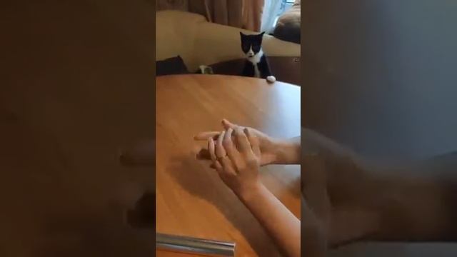 Как можно использовать фольгу для запекания?