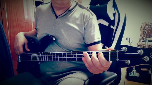 Sandra - "Steady Me" (Bass cover - my improvisation) смотреть онлайн
