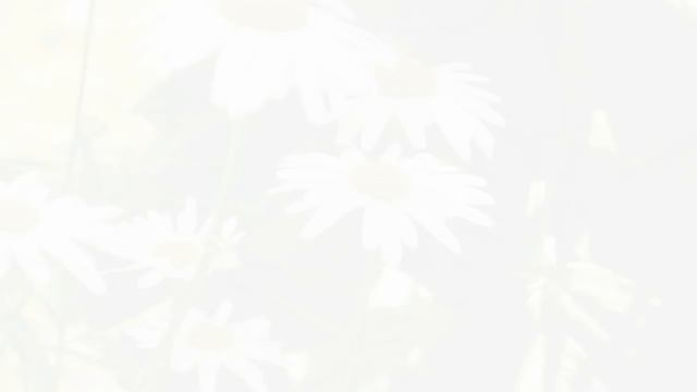 Розслаблююча музика, заспокоїти розум і душу смотреть онлайн