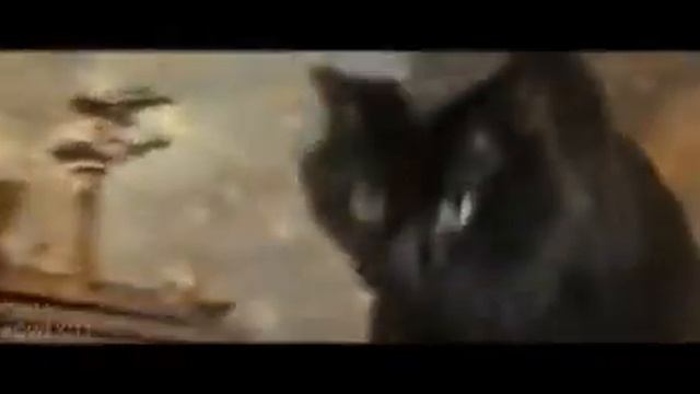 #catzilla #trailler #Котзилла! смотреть онлайн