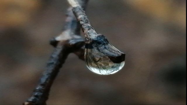 Краски осени смотреть онлайн