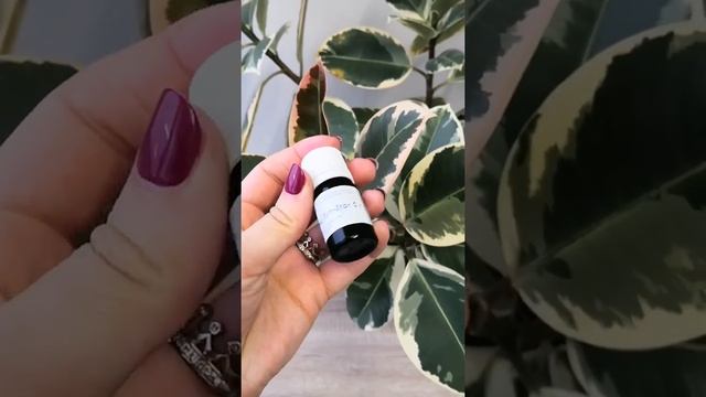 Пептид Syn-Star ZULFIYA смотреть онлайн