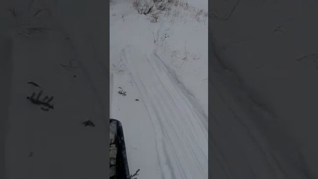 установка капканов на пахучки в зимний период. смотреть онлайн