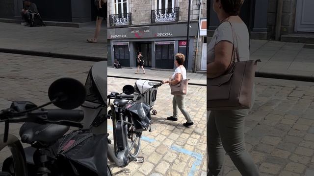 Дама с собачкой - коляска для собак смотреть онлайн