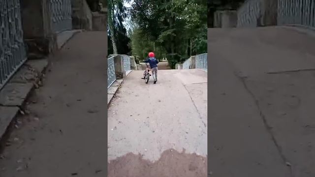 трофи в Павловском парке смотреть онлайн