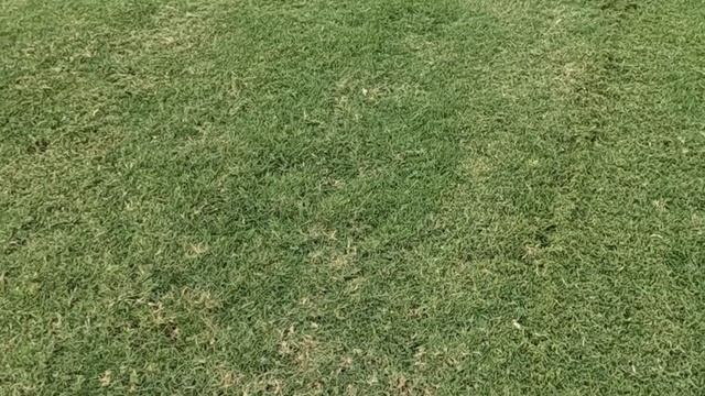 We bought a Spartan Zero Turn Mower | How’s it cut? смотреть онлайн