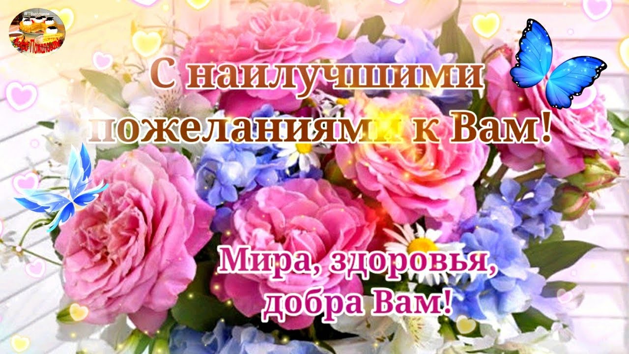 С наилучшими пожеланиями к Вам! Мира, добра! Музыкальная открытка. смотреть онлайн