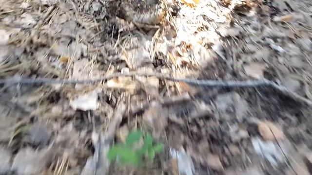 Чёрный груздь смотреть онлайн