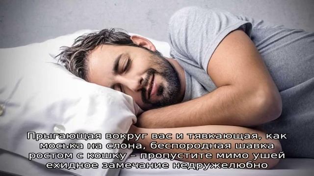 Сонник: к чему снится собака которая кусает за руку? смотреть онлайн