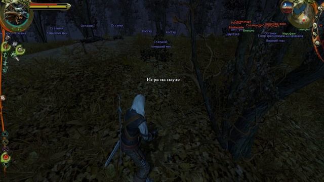 The Witcher. Прохождение. #39. Дипломатия и Охота. смотреть онлайн