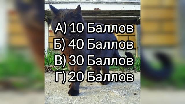 ТЕСТ: Какой ты дракон из как приручить дракона? смотреть онлайн