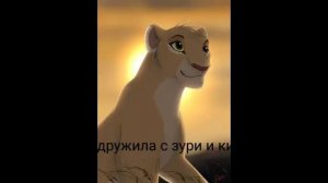Король лев история тифу