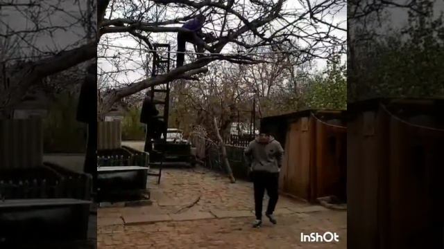 Обрезка ореха в Щербаках у прабабушки Светы смотреть онлайн