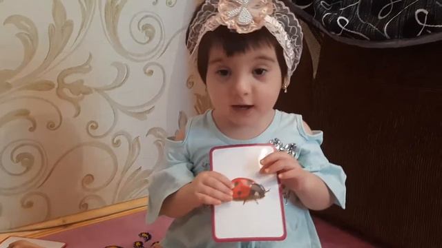 Как не скучать на карантине? Как учить ребенка говорить? Дошкольное обучение на карантине.. смотреть онлайн